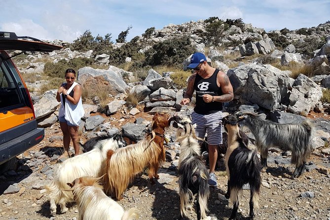 Sarakina Gorge, Kritza, Oliveoil Tasting, Mountains, South Coast - Paralia Myrtos Swim Hour: Cool Off in the Libyan Sea