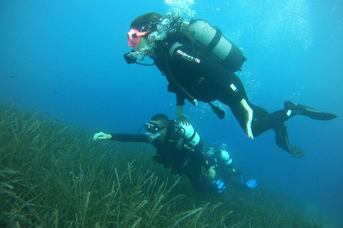 Scuba Diving Experience in Santorini - What you actually get: gear, snacks, and the media question