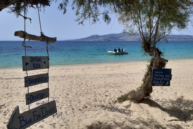 Scuba Diving in Naxos by Bluefindivers - Dive in Greece - Amazing Diving Spots - Photos and video: free souvenirs that match the moment