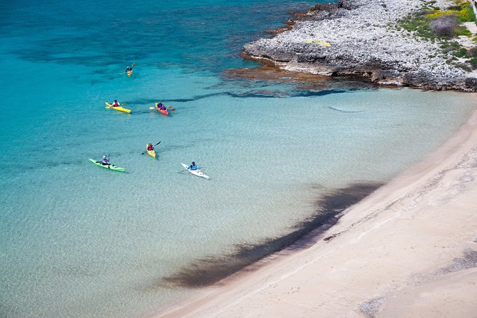 Sea Kayak in Kardamili - Price and Value: Is $106.08 a Good Deal?