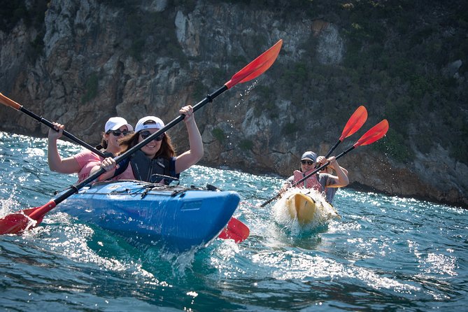 Sea Kayaking in Navarino Bay - Key Points You Should Know Before You Paddle Navarino Bay