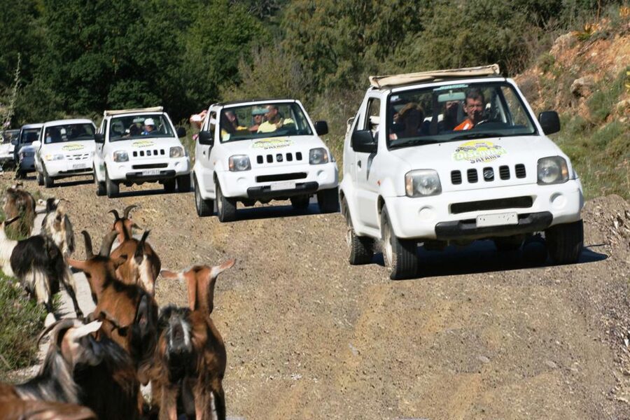 Self-Drive Jeep Safari to South Coast, Palm Beach & Canyons - Jeep comfort and the one drawback you should take seriously