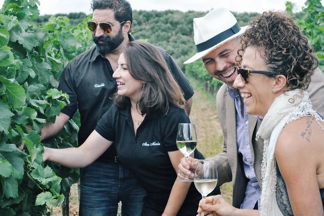 Semi-Private Wine Discovery Tour in Chania - Key highlights to look for in this tour