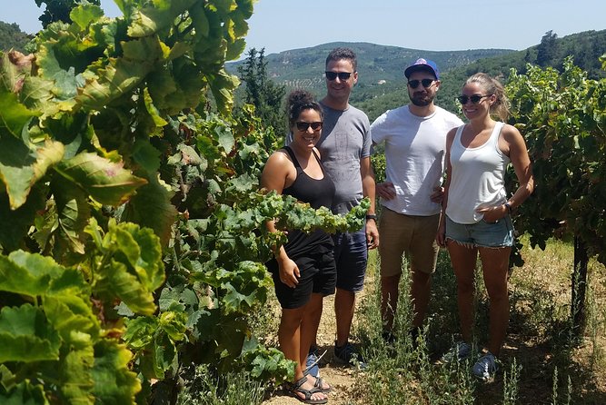Semi-Private Wine Discovery Tour in Chania - From Chania’s Municipal Market to the Cretan countryside