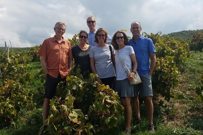 Semi-Private Wine Discovery Tour in Chania - Karavitakis Winery: Cretan grapes, vineyard views, and a tasting lesson
