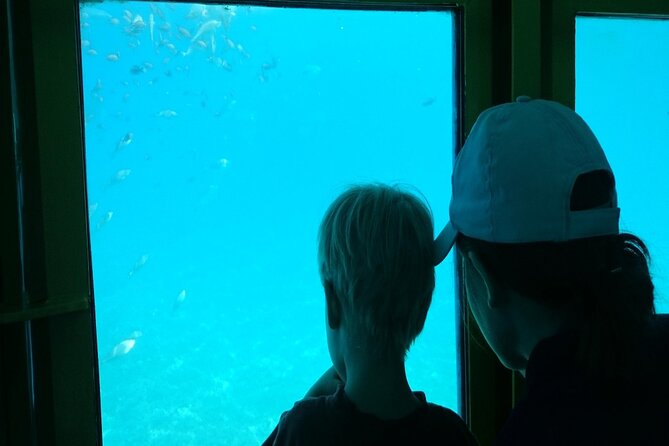 Semi-Submarine Tour from Agios Nikolaos - Who This Tour Suits Best (and Who Might Want a Different Plan)