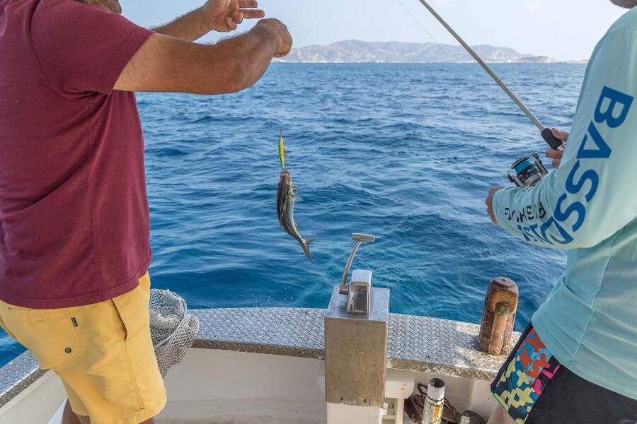 Shared Morning Cruise from Pollonia to Polyaigos - Food and Drinks: Milos Pies Plus Beer and Water