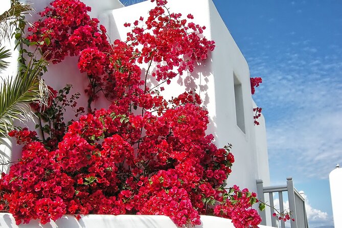 Sightseeing like a Mykonian(Small Group or Private) - Included Extras That Improve Your Day