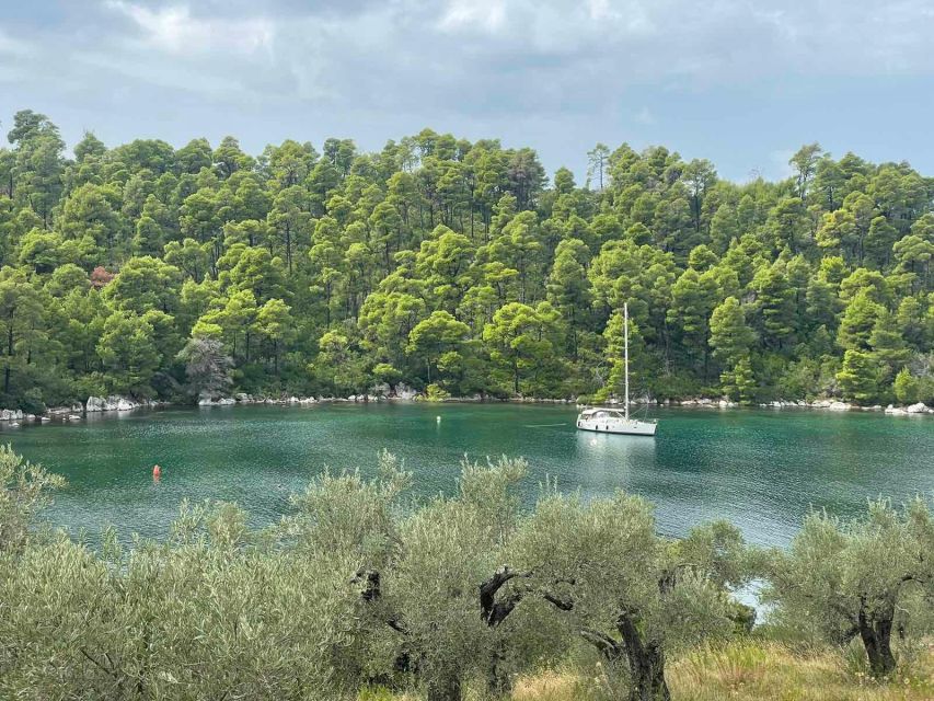Skopelos: Mamma Mia Filming Locations Tour - Should you book the Skopelos Mamma Mia filming locations tour?