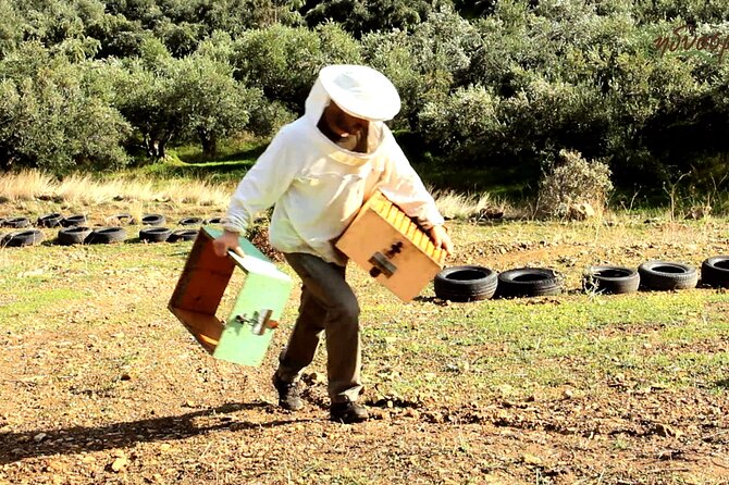 Small-Group Honey & Extra Virgin Olive Oil Tasting Tour in Crete - Key Things That Make This Tour Worth Your Time