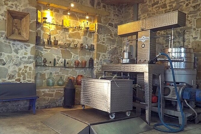 Small-Group Honey & Extra Virgin Olive Oil Tasting Tour in Crete - Mariana’s pacing and how the guide keeps it fun