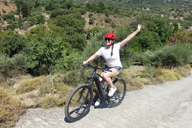 Small Villages and Cretan Nature. E-Bike tour - Olive cultivation with a local guide, plus the tasting break that makes it stick