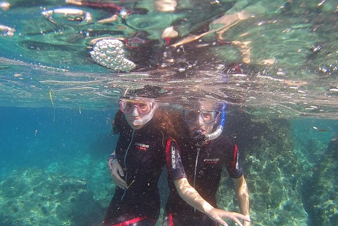 Snorkeling trip - What you’ll see: octopus, starfish, nudibranchs, and the bird crowd