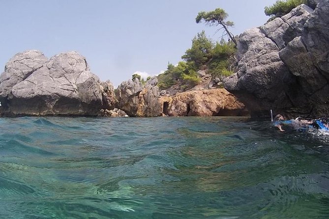 Snorkeling trip - The underwater light show: caves, tunnels, and bat sightings
