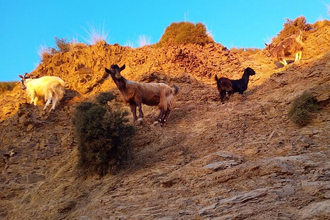 Sunset Jeep Tour in Crete - Aposelemis Dam and Avdou: water, fruit gardens, and preserved village streets