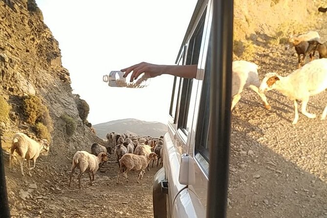 Sunset Jeep Tour in Crete - Ano Kera BBQ dinner with wine and water