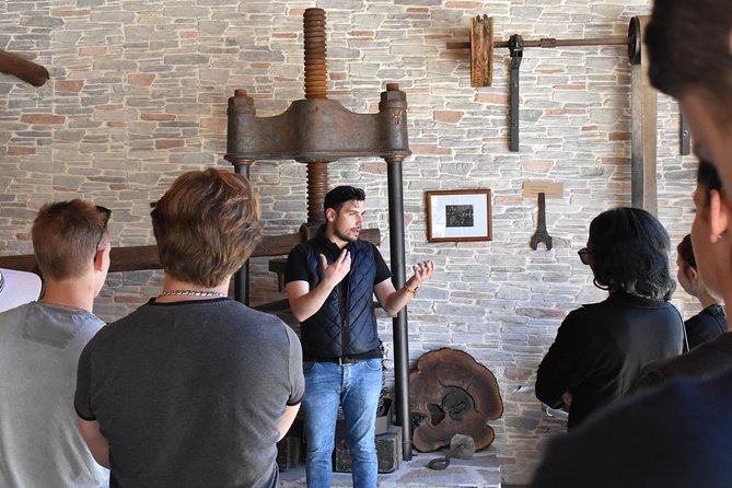 The Governor's Olive Mill Tour with Olive Oil Tasting - Entering Dafnis Olive Groves Before You Ever See the Mill