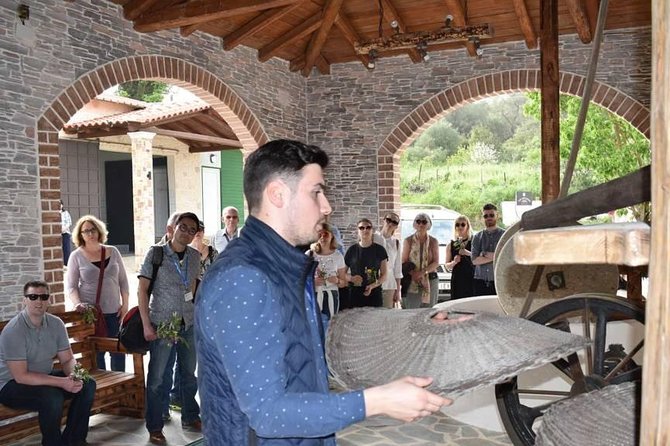 The Governor's Olive Mill Tour with Olive Oil Tasting - Price and Value: What You Get for About $82