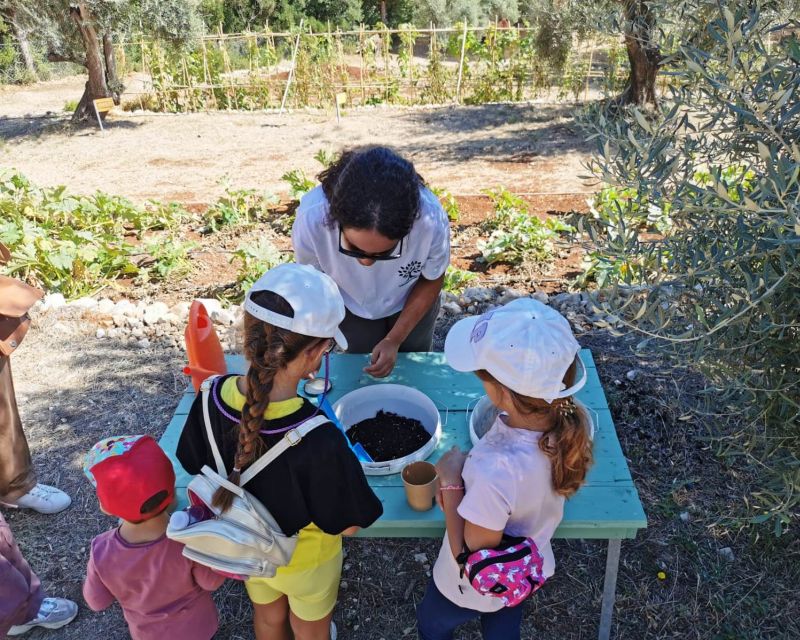 The Olive Oil Experience @ Lefkada Micro Farm - Should you book the Olive Oil Experience at Lefkada Micro Farm?