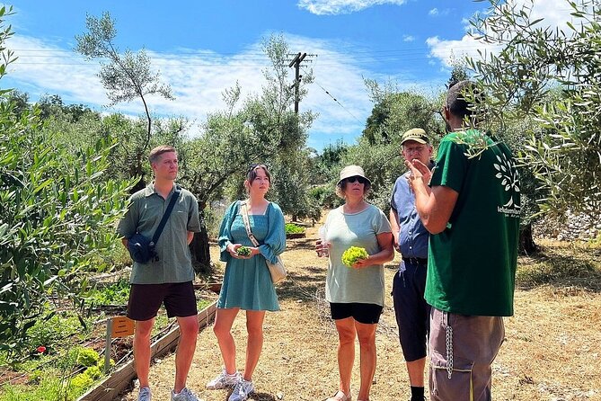The Olive Oil Experience @ Lefkada Micro Farm - How regenerative organic practices translate into what you taste