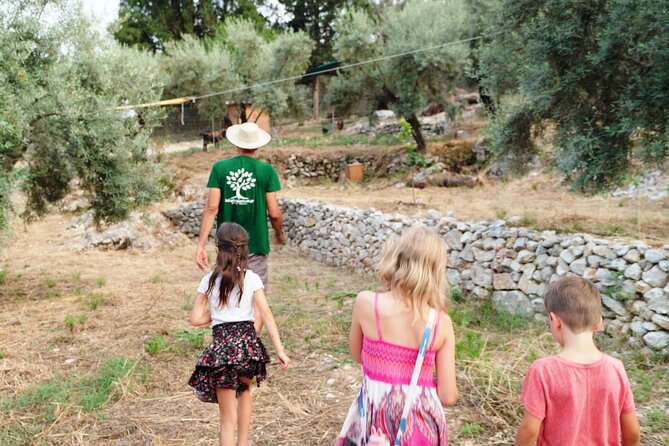 The Olive Oil Experience @ Lefkada Micro Farm - The Olive Oil Tasting that teaches you what to notice