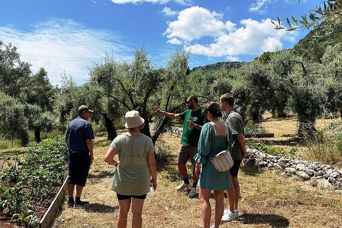 The Olive Oil Experience @ Lefkada Micro Farm - What the award story and the trainer role really mean for you