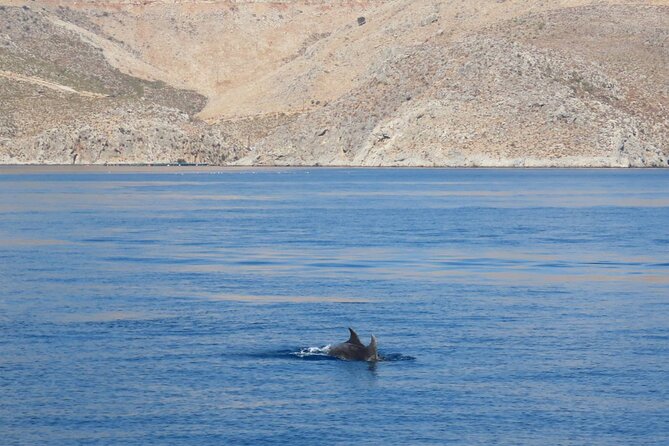 The Santa Maria 3 Island Cruise in the Aegean w/ Free Audio Guide - Stop 1, Pserimos: Beach Time and That Fresh-Aegean Feeling
