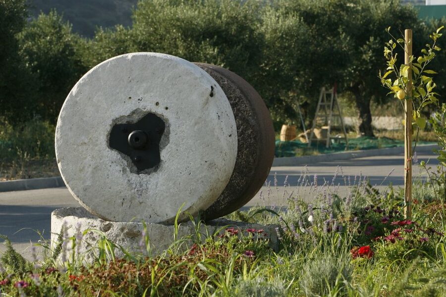 The Terra Creta Olive Oil Experience Tour - Harvest to bottling, the concepts you should watch for