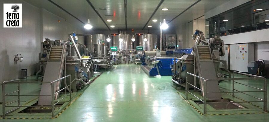 The Terra Creta Olive Oil Experience Tour - The guided tasting of 3 olive oils, plus how to actually taste