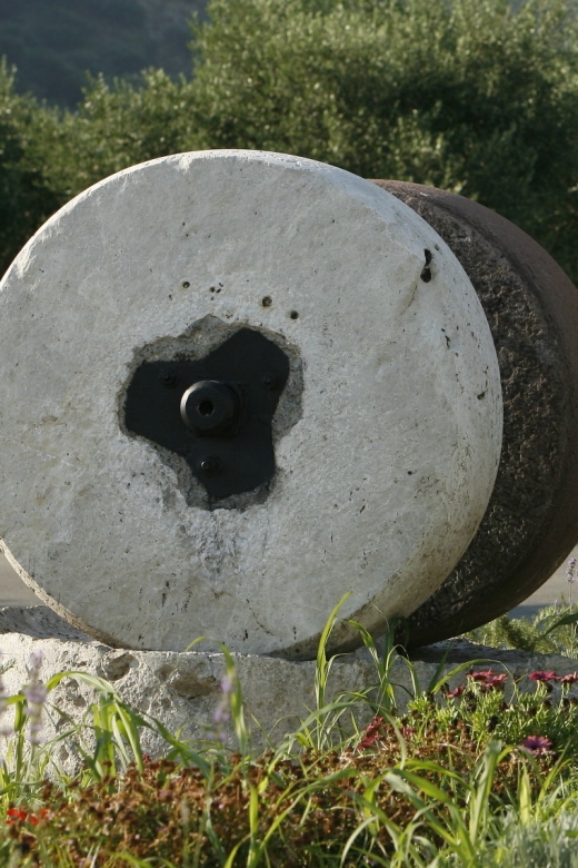 The Terra Creta Olive Oil Experience Tour - The shop after the tour, buying without stress