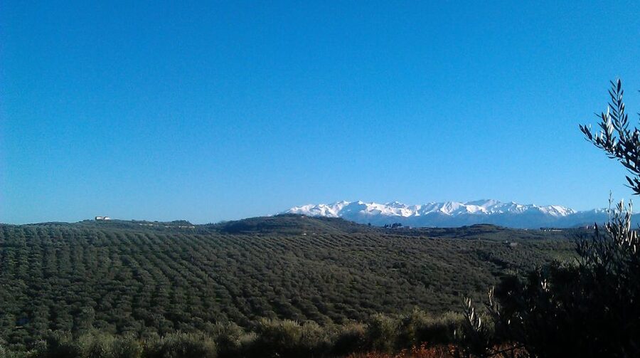 The Terra Creta Olive Oil Experience Tour - Getting there around Chania and Kolymvari, no hotel pickup