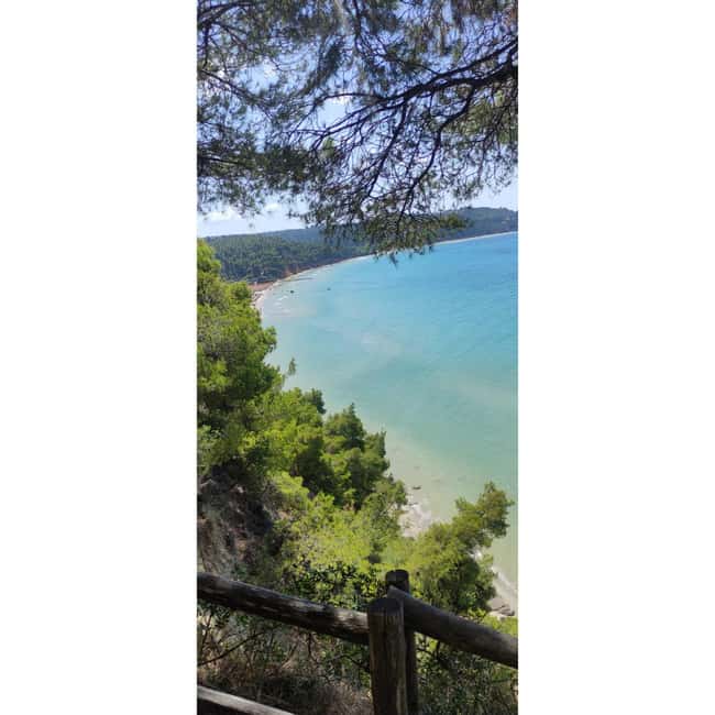 Thessaloniki: Halkidiki Beach-Hopping with Swimming - Who This Tour Suits Best (and Who Might Prefer a Different Plan)