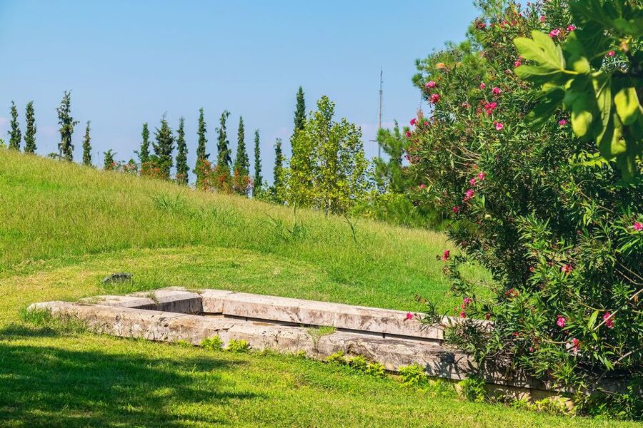 Thessaloniki: Vergina and Pella Day Trip - Lunch in Vergina and the reality check on pacing