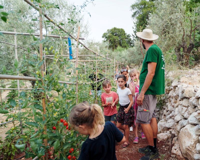 Traditional Greek Cooking Class @ Lefkada Micro Farm - Olive Oil and Herbs: The Taste Lesson That Makes You Want to Cook Again