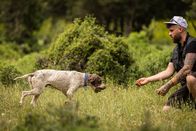 Truffle Hunting at Meteora - Price and Value for Up to 10 People