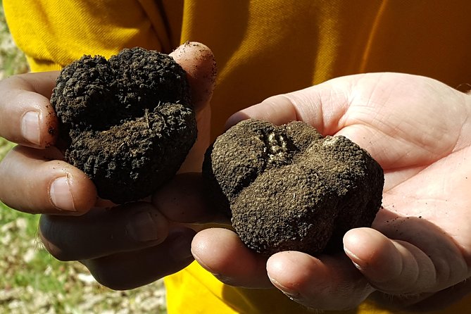 Truffle Hunting at Meteora - Who This Meteora Truffle Hunt Fits Best