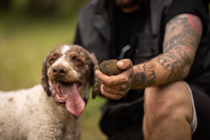 Truffle Hunting at Meteora - The Hunt in the Meteora Woods, at a Comfortable Pace
