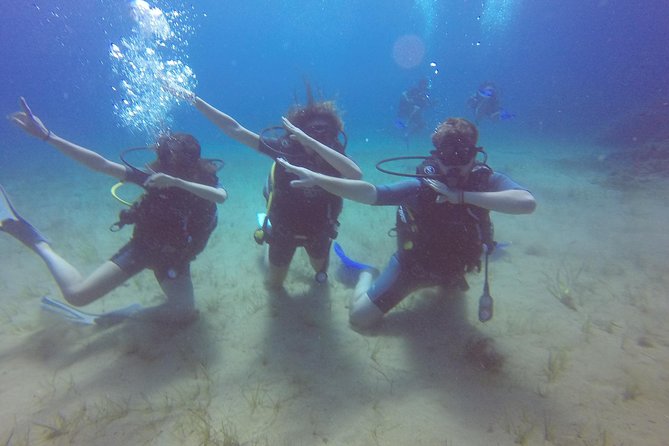 Try a DIVE, discover scuba diving in Mykonos - Price and Value, Why This Costs Around $193