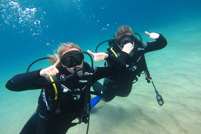 Try a DIVE, discover scuba diving in Mykonos - Should You Book This First-Time Scuba Experience in Mykonos?