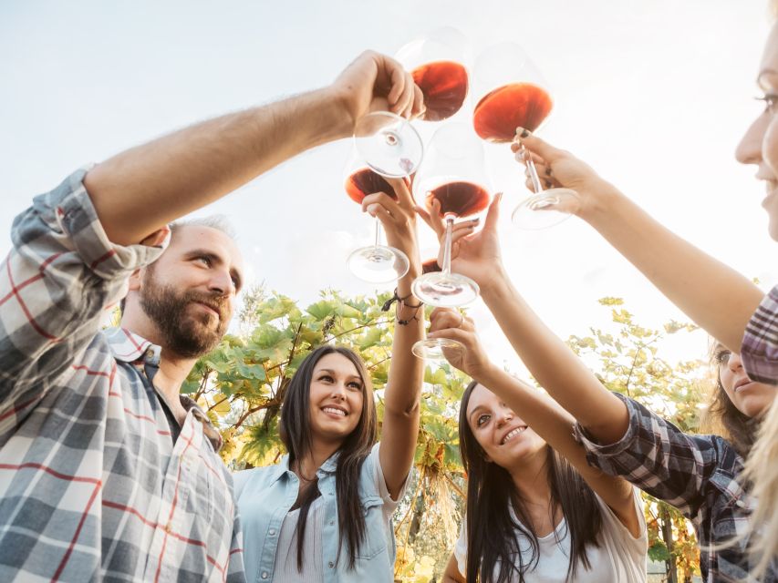 Vineyard Sips: Family Winery Tour & Gourmet Tasting in Corfu - Price and Value: Is $46 Worth It?