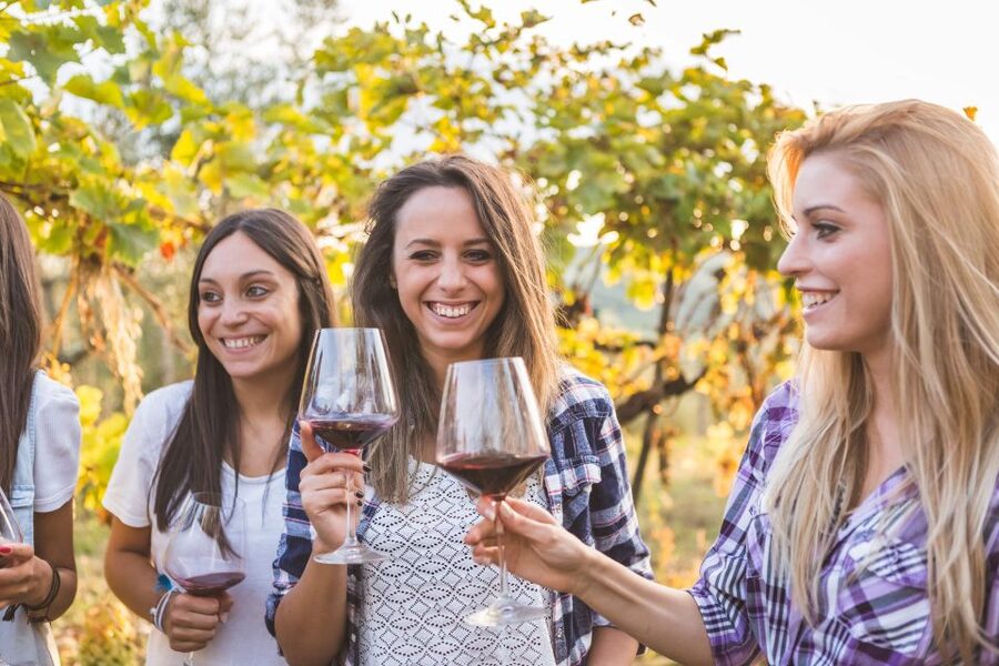 Vineyard Sips: Family Winery Tour & Gourmet Tasting in Corfu - Getting There and What to Bring