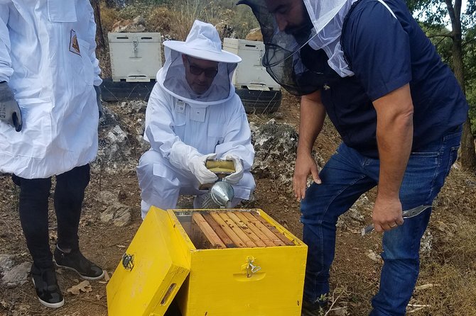 Wine, Olive Oil, and Honey Tour with Winemaker - Key Highlights You Will Actually Feel During the Day