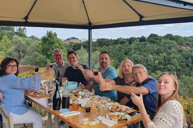 Wine, Olive Oil, and Honey Tour with Winemaker - Vineyard Lunch With Wine: The Part You Will Talk About Later