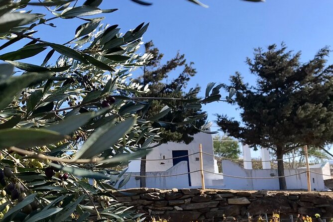 Wine Tasting and Tour in Saint Anna Winery in Naxos - Practical Tips so You Enjoy Every Glass