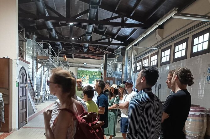 Wine Tasting Experience from Thessaloniki - Heading Out From Thessaloniki, Then Straight Into Wine Country