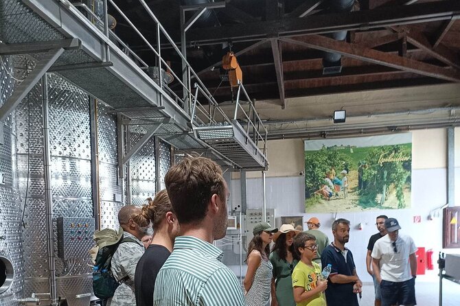 Wine Tasting Experience from Thessaloniki - Your Winery Arrival Plan: What the 3-Hour Timing Feels Like