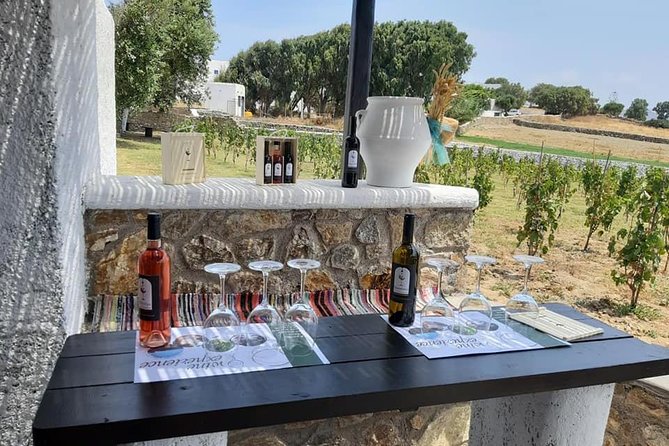 Wine Tasting Tour at a traditional farm in Mykonos - The Snack Pairing: Local Bites That Keep the Day Comfortable