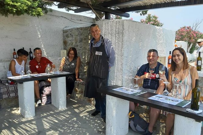 Wine Tasting Tour at a traditional farm in Mykonos - Timing Choice: Midday (12:00) vs Evening (18:00)