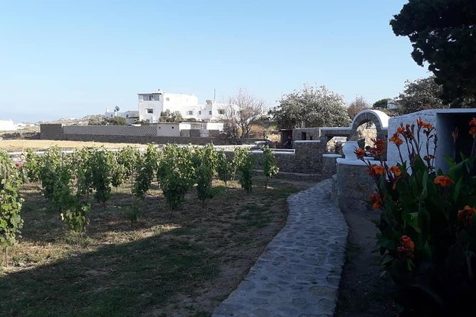 Wine Tasting Tour at a traditional farm in Mykonos - Price and Value: Is $90.70 a Fair Deal?