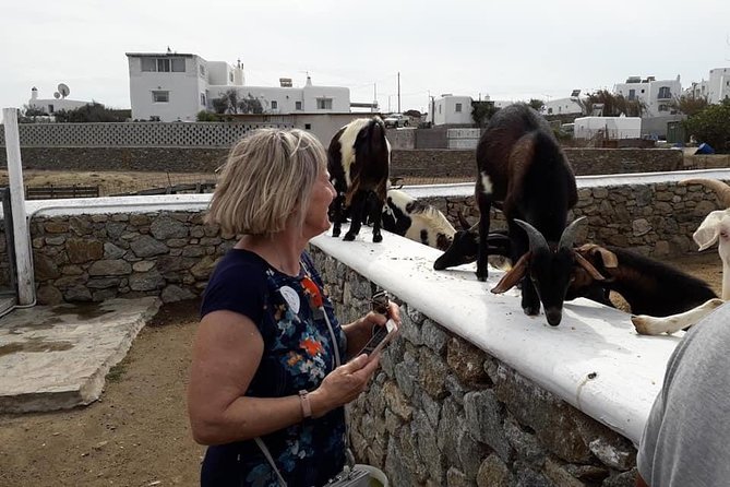 Wine Tasting Tour at a traditional farm in Mykonos - Who Should Book This Wine Tasting (and Who Might Pass)